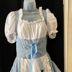 Wizard of Oz ~ Dorothy Halloween Costume ~ Cute
